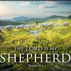 Meet your Posher, Tom